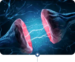 Ikaria Lean Belly Juice neura brain health supplement